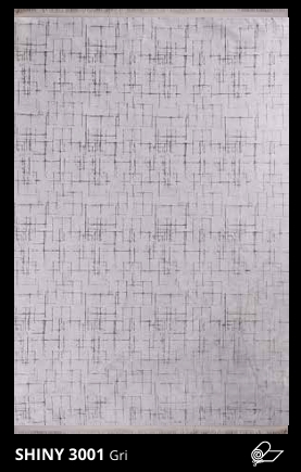 NEXUS SHINY 3001 Gri